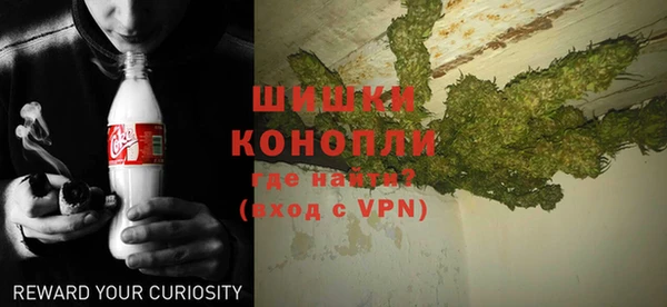 прущие грибы Балабаново