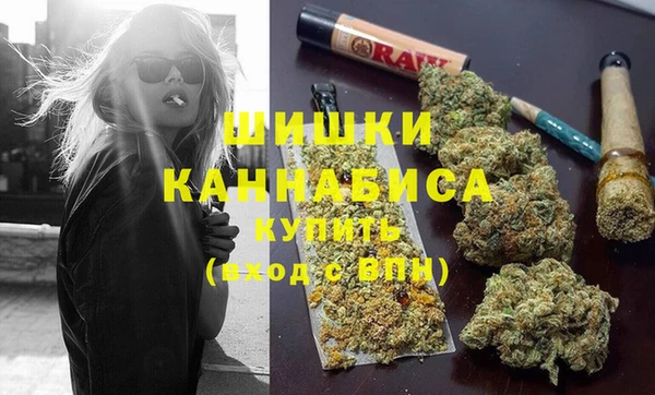 прущие грибы Балабаново