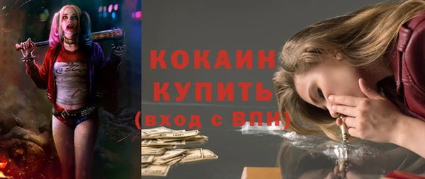 прущие грибы Балабаново