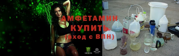 прущие грибы Балабаново
