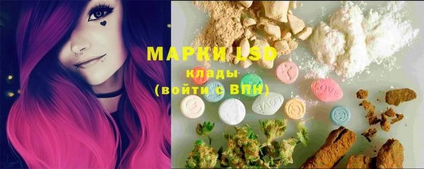 прущие грибы Балабаново