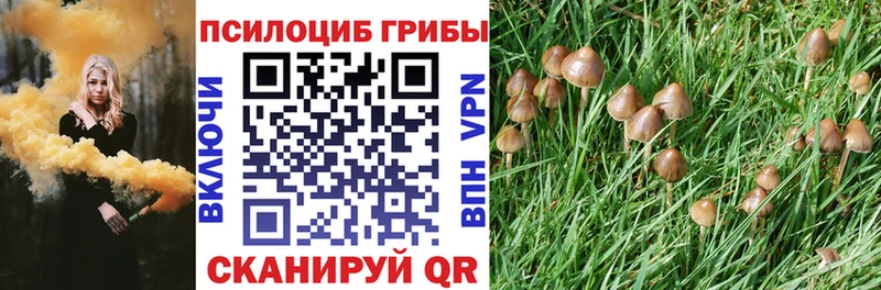 Псилоцибиновые грибы ЛСД  Пойковский 