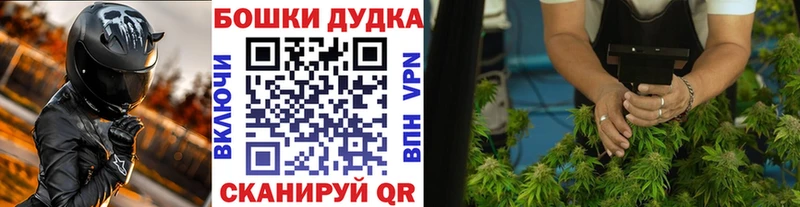 купить   MEGA ссылки  Бошки марихуана гибрид  Пойковский 